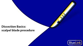 Dissection Basics  Scalpel Blade Procedure [upl. by Ayotal918]