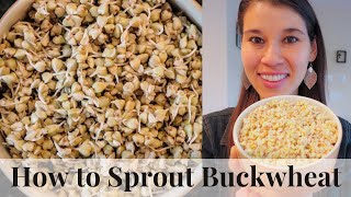 Growing Buckwheat for Your Small Farm [upl. by Ydoc]