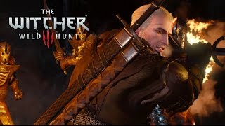 The Witcher 3 Wild Hunt Walkthrough Gameplay Part 1  Yennefer PS4 Xbox One [upl. by Drhacir]