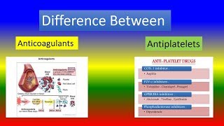 Difference Between Anticoagulants and Antiplatelets [upl. by Alad]