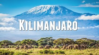 CLIMBING MOUNT KILIMANJARO [upl. by Bernarr]