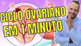 Ciclo Ovariano em 01 minuto  Formação do Folículo e Ovulação [upl. by Eardnoed547]