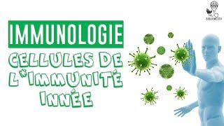 Immunologie  les Cellules de lImmunité Innée [upl. by Chelsie688]