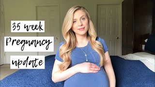 Twin Pregnancy Vlog Week 35 Update  Meghan Christine [upl. by Ailyn484]