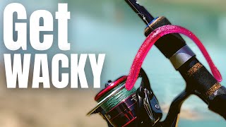 3 WACKY RIG Tips That Will IMPROVE Your BASS FISHING [upl. by Aekahs]