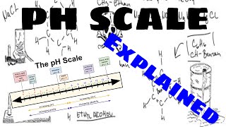 The pH Scale Explained [upl. by Hendel]