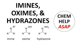 imines hydroxylamines amp hydrazones [upl. by Hock]