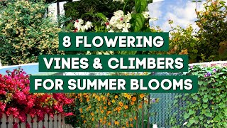 7 Best Flowering Vines amp Climbers to Plant for Summer Blooms 🌺  PlantDo Garden 💚 [upl. by Anilac755]