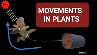 TROPIC and NASTIC MOVEMENTS IN PLANTS [upl. by Ebanreb]