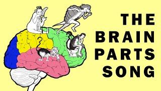 Parts of the Brain Song [upl. by Niu]