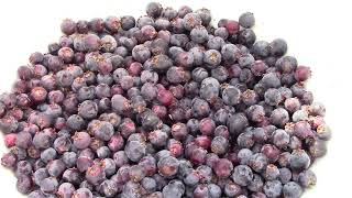 What is a Saskatoon berry North American super fruit [upl. by Maia]