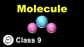 What is a Molecule  Atoms and Molecules  8  in Hindi for Class 9 Science NCERT [upl. by Enra189]