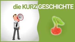 die Kurzgeschichte  Merkmale  DiB [upl. by Erej397]