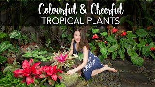 Easy amp Colourful Plants to brighten the tropical garden [upl. by Delcine]