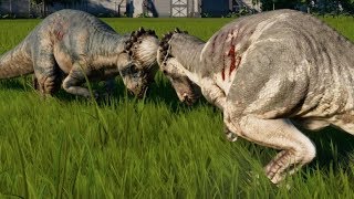 Jurassic World Evolution  Pachycephalosaurus vs Pachycephalosaurus 1080p 60FPS [upl. by Aneer]