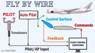 How the Fly By Wire System keeps an Aircraft safe amp How Flight Control Computers Operate [upl. by Oicnedurp]