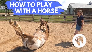 HOW TO PLAY WITH A HORSE [upl. by Notlaw]