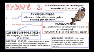 2020  2022 BOEKMERK help with the poem Boekmerk for gr12 Afrikaans FAL learners👍🏼🤓 [upl. by Silas]