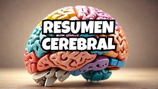 El Cerebro en Resumen sus Partes y Funciones [upl. by Eicrad]