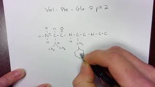 Drawing a tripeptide at pH 2 [upl. by Ramona]