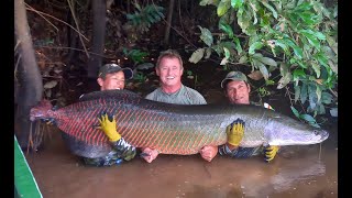 ARAPAIMA PARADISE LODGE  BOLIVIA [upl. by Ahseetal237]