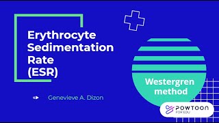 ESR Westergren Method [upl. by Netsirhk]