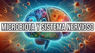 🔄️ RELACIÓN entre la Microbiota y el Sistema Nervioso  Mar Alonso [upl. by Nosyk]