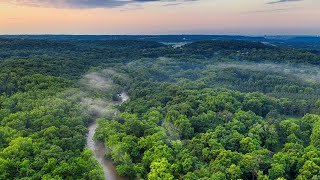 Amazon rainforest  Ecosystems [upl. by Henleigh]