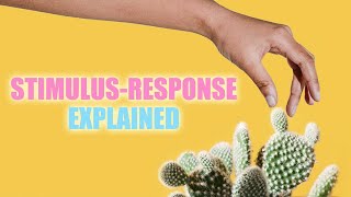 StimulusResponse Reflexes and Homeostasis [upl. by Ashwin895]