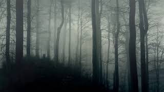 Dark Ambience  Horror Background Music 10 Hours [upl. by Carolyne618]