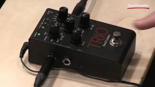 DigiTech Trio Band Creator Pedal Demo [upl. by Aidnic]