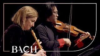 Bach  Concerto for Oboe and Violin in C Minor BWV 1060R  Black and Sato  Netherlands Bach Society [upl. by Schlessel]