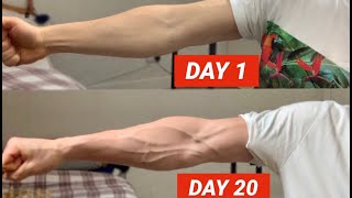 Vascular Forearms in Only 20 Days [upl. by Dafodil]