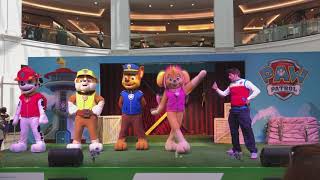 Paw Patrol Show  Live Real Mascot Video Episode [upl. by Suelo937]