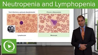 Quantitative WBC Disorders Leukocytosis amp Leukopenia – Pathology  Lecturio [upl. by Carothers417]