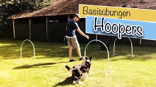 Hoopers Agility Basistraining Hundeschule und Hundetraining Online [upl. by Conner]