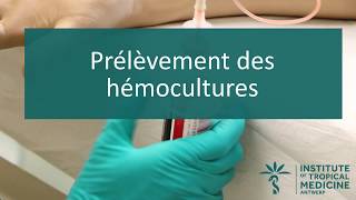 Prélèvement des hémocultures V1 [upl. by Suillenroc400]