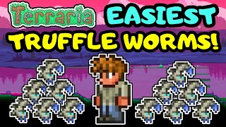 EASIEST TERRARIA TRUFFLE WORM FARM Simple Truffle Worm Farm Design Beginner Guide Step By Step [upl. by Daphna939]