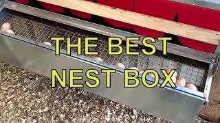 BEST NEST BOX  THE ULTIMATE CHICKEN LAYING BOX [upl. by Clotilde]