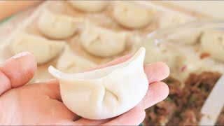 How to Make Chinese Dumplings From Scratch [upl. by Nnazil863]