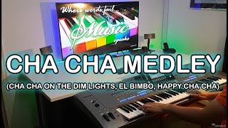 80s Cha Cha Medley on Yamaha Tyros 5 by artzkie [upl. by Rehpitsirhc]