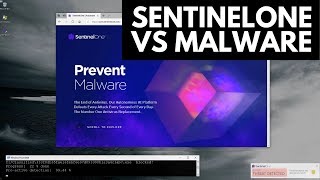 SentinelOne Review  Tested vs Malware [upl. by Sidwell759]