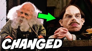 Why Professor Flitwick Looked SO Different  Harry Potter Explained [upl. by Eniamzaj440]