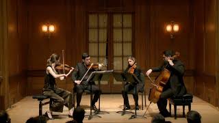 Vera Quartet HAYDN — Quartet in G major Op 76 No 1 [upl. by Drescher]