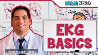 Cardiovascular  EKG Basics [upl. by Abbotson10]