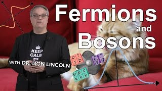 Fermions and Bosons [upl. by Elbert]