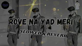 ROI NA JE YAAD MERI AAYI VE  NEW SAD SONG SLOWED  REVERB2020  VICKY SINGH  VLOGSBYRAAJ [upl. by Onileba]