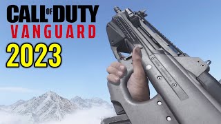 COD Vanguard  All Weapons Showcase Updated 2023 [upl. by Eicyaj]