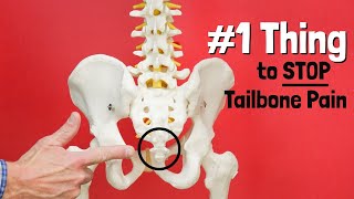 1 Thing to STOP Tailbone or Sit Bone Pain  Giveaway [upl. by Yelir710]