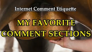 Internet Comment Etiquette quotMy Favorite Comment Sectionsquot [upl. by Stutsman154]